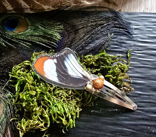 Rusty-Tipped Page Butterfly Wing Silver Snap Hair Clip