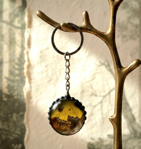 Orange Sulphur Butterfly Wing Keychain