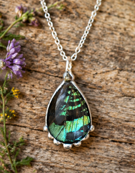 Madagascan Sunset Moth Green Forewing Reversible Teardrop Pendant