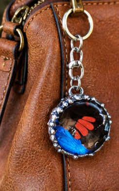 Blue Morpho and Red Mormon Butterfly Wing Keychain