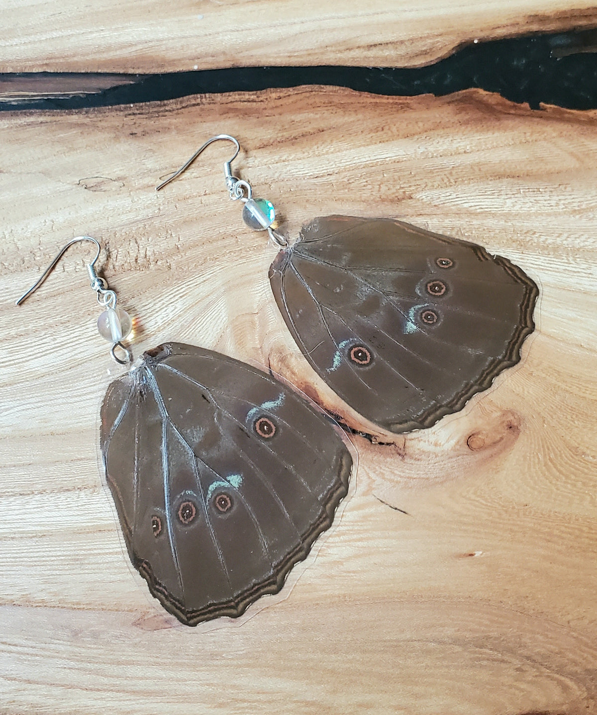 Morpho Menelaus Blue Hindwing Laminated Earrings