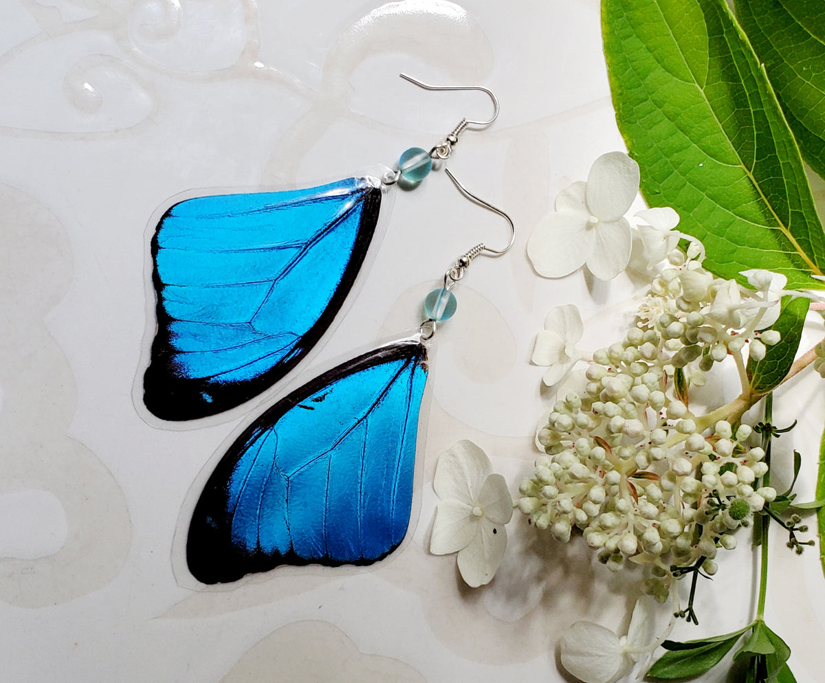 Morpho Menelaus Blue Forewing Laminated Butterfly Earrings