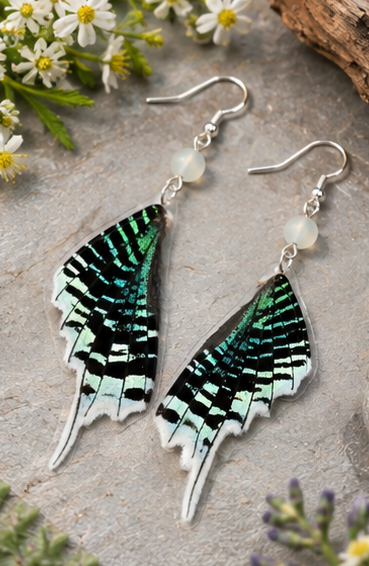 Green-banded Urania Moth Wing Earrings