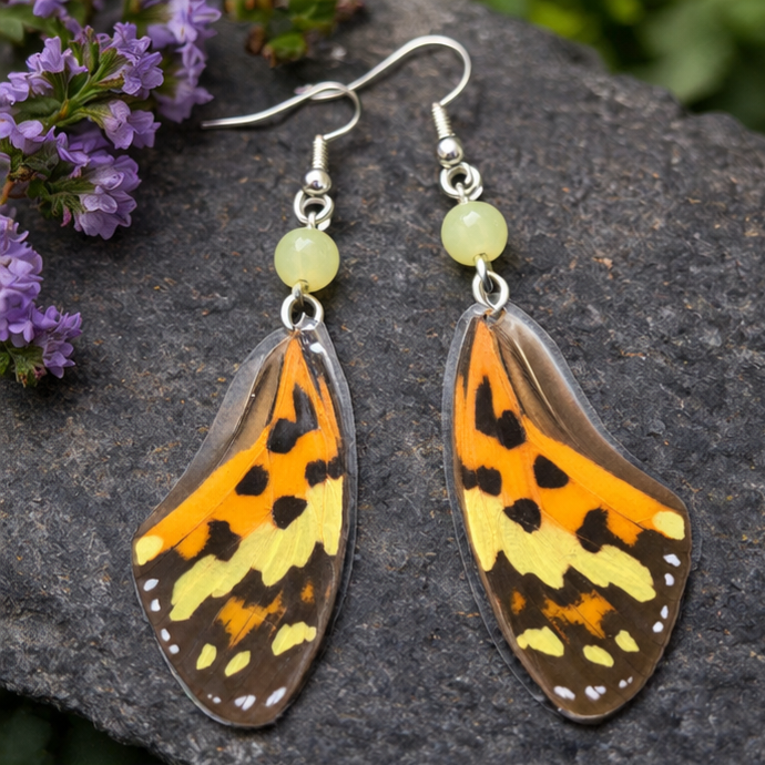 Tigerwing Butterfly Laminated Wing Earrings