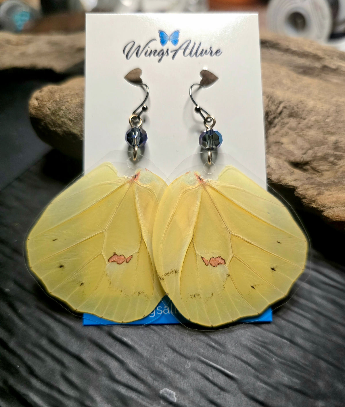 Cloudless Sulphur Butterfly Laminated Wing Earrings