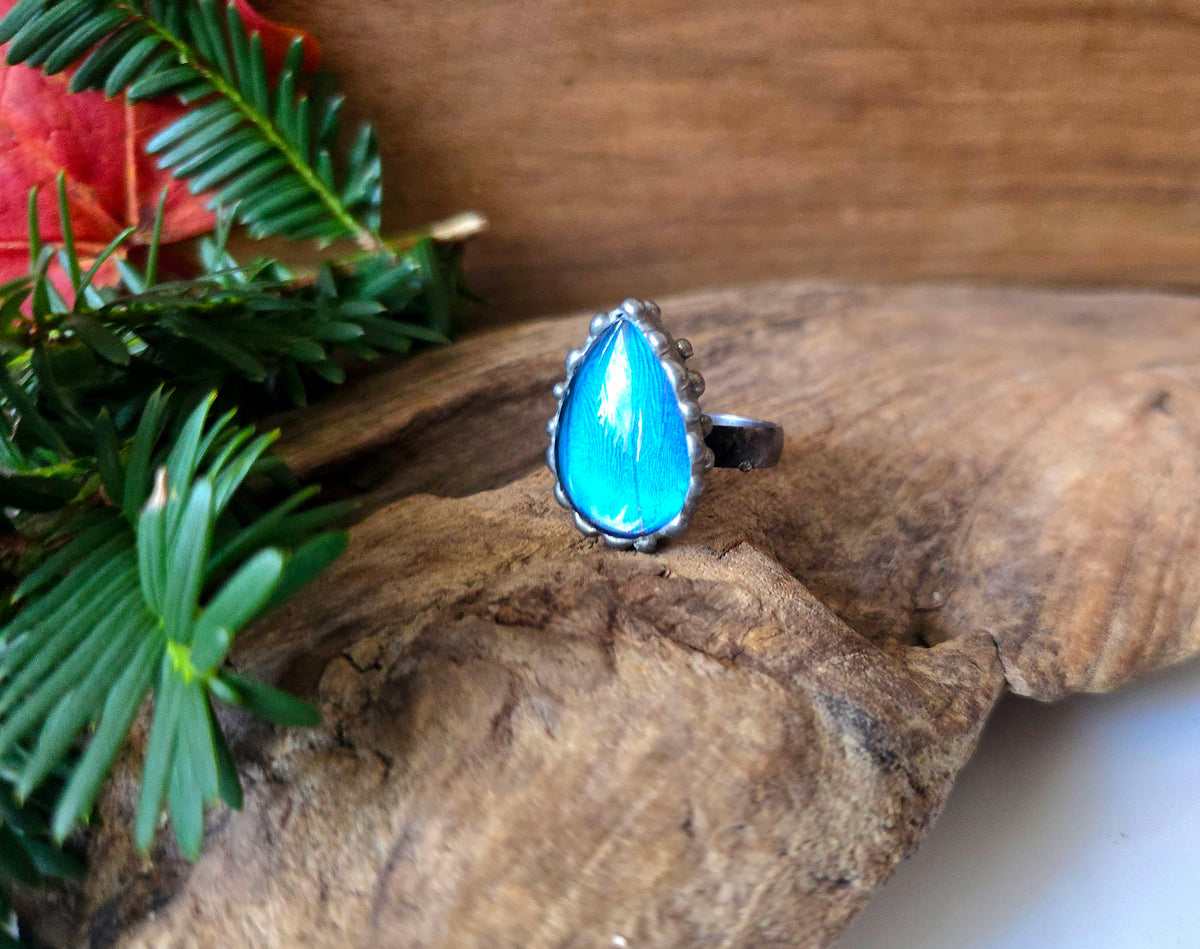 Blue Morpho (Morpho menelaus) Butterfly Wing Adjustable Ring