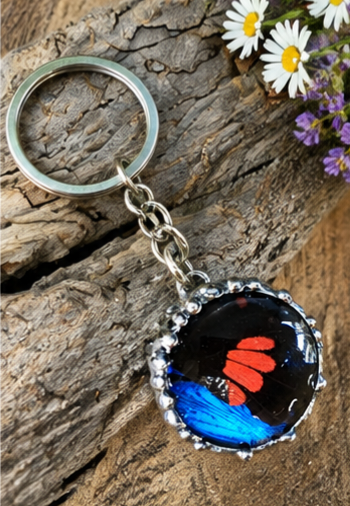 Blue Morpho and Red Mormon Butterfly Wing Keychain