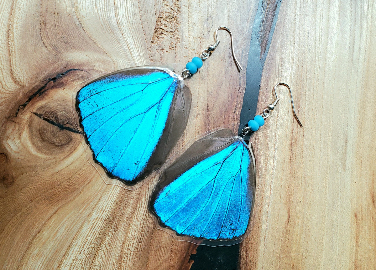 Morpho Menelaus Blue Hindwing Laminated Earrings