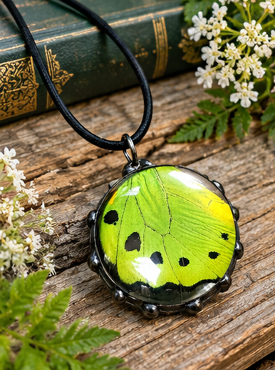 Green Birdwing Butterfly Wing Round Glass Pendant