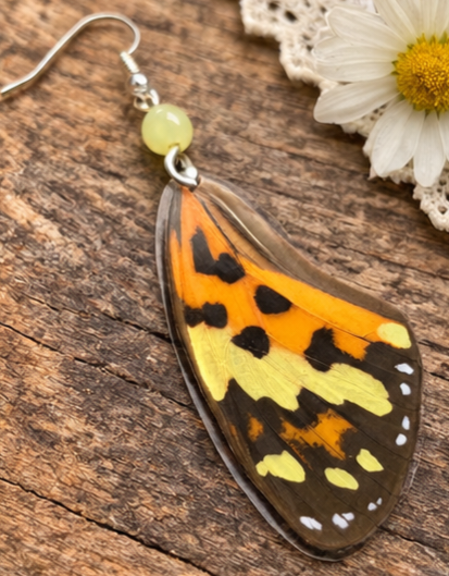 Tigerwing Butterfly Laminated Wing Earrings