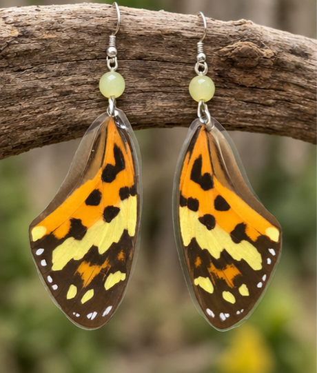Tigerwing Butterfly Laminated Wing Earrings
