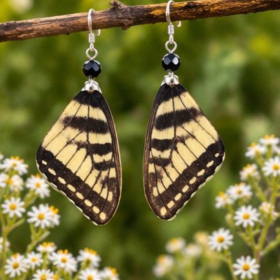 Eastern Tiger Swallowtail Butterfly Wing Earrings