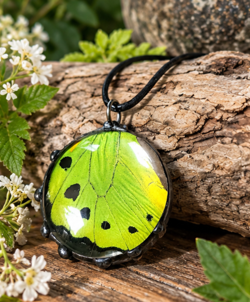 Green Birdwing Butterfly Wing Round Glass Pendant