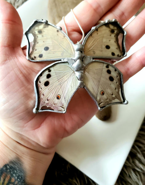 Real Butterfly Necklace, Real Mother of Pearl Butterfly Pendant