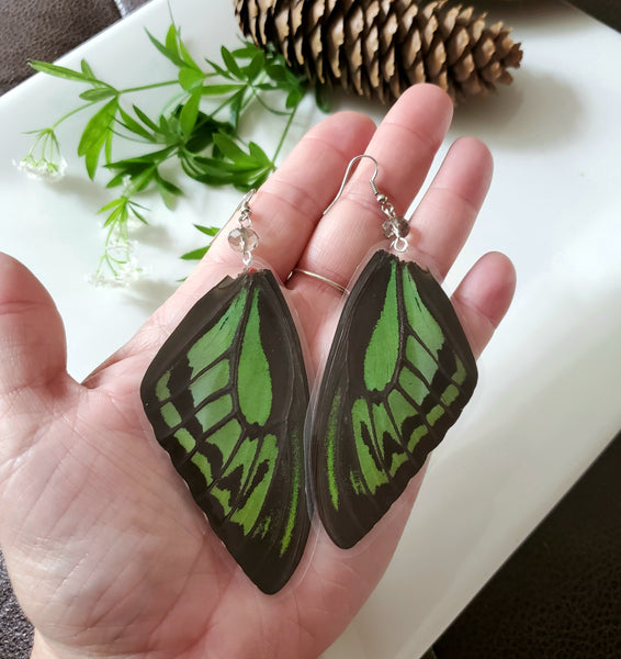 Large Green Butterfly Wing Earrings, Real Butterfly Wing Earrings