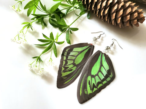 Large Green Butterfly Wing Earrings, Real Butterfly Wing Earrings