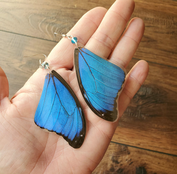 Real Blue Butterfly Wing Earrings, Blue Morpho Forwing Earrings