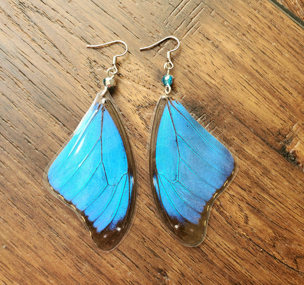Real Blue Butterfly Wing Earrings, Blue Morpho Forwing Earrings