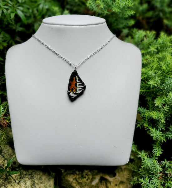 Small Madagascan Sunset Moth Necklace