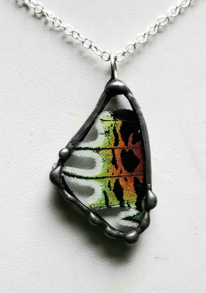 Small Madagascan Sunset Moth Necklace