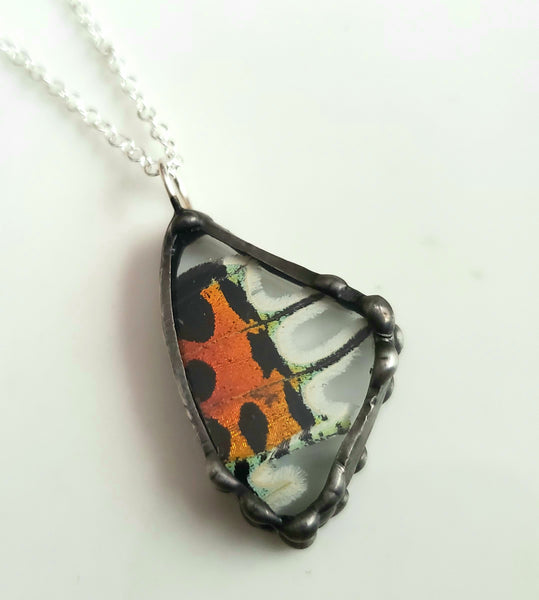 Small Madagascan Sunset Moth Necklace