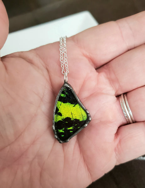 Small Madagascan Sunset Moth, Forwing Necklace