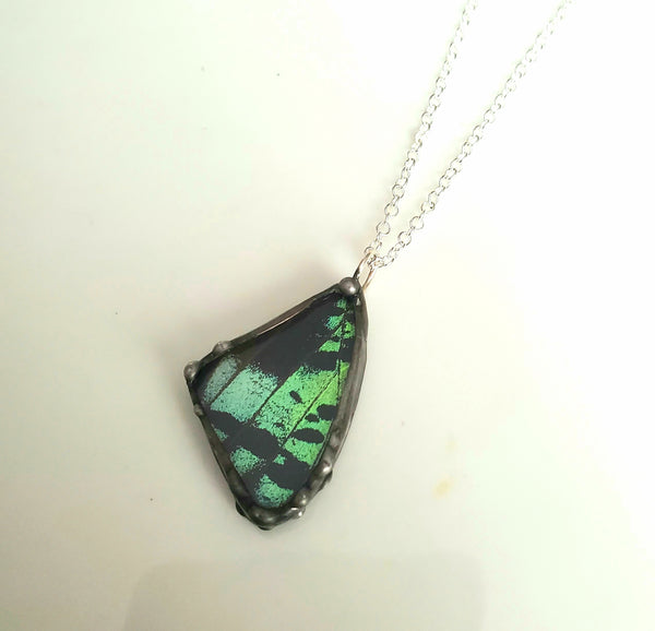 Small Madagascan Sunset Moth, Forwing Necklace