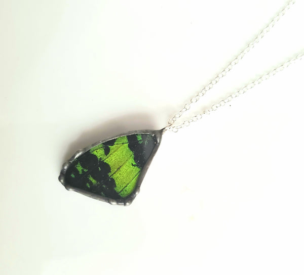 Small Madagascan Sunset Moth, Forwing Necklace