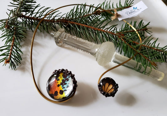 Madagascan Sunset Moth and Black Yellow Swallowtail Brass Torc