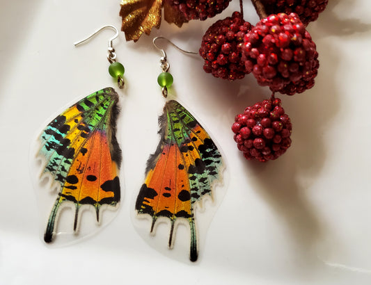 Madagascan Sunset Moth Hindwing Crystal Earrings