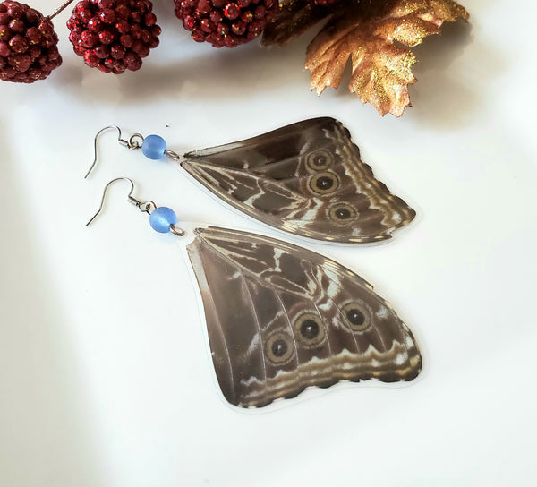 Morpho Peleides Butterfly Wing Earrings