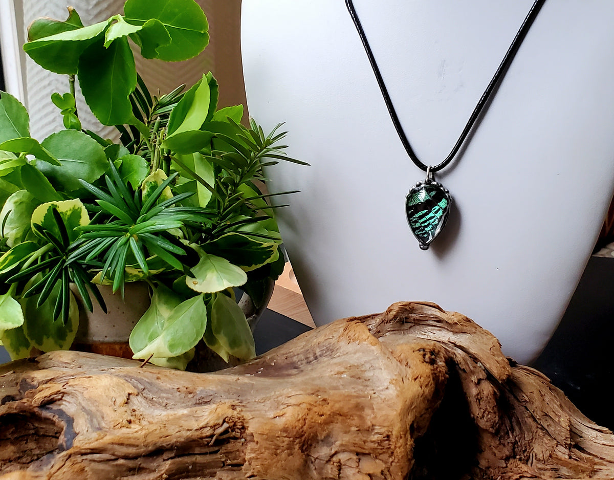 Madagascan Sunset Moth Green Forewing Teardrop Pendant