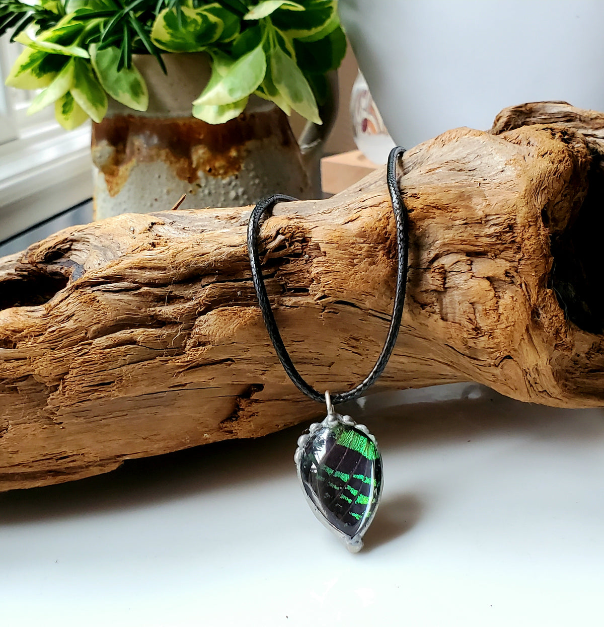 Madagascan Sunset Moth Green Forewing Teardrop Pendant