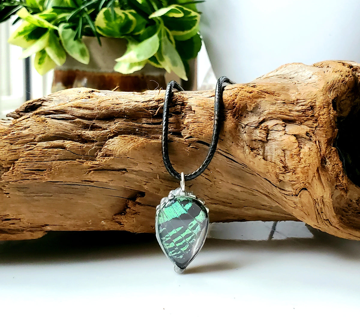Madagascan Sunset Moth Green Forewing Teardrop Pendant