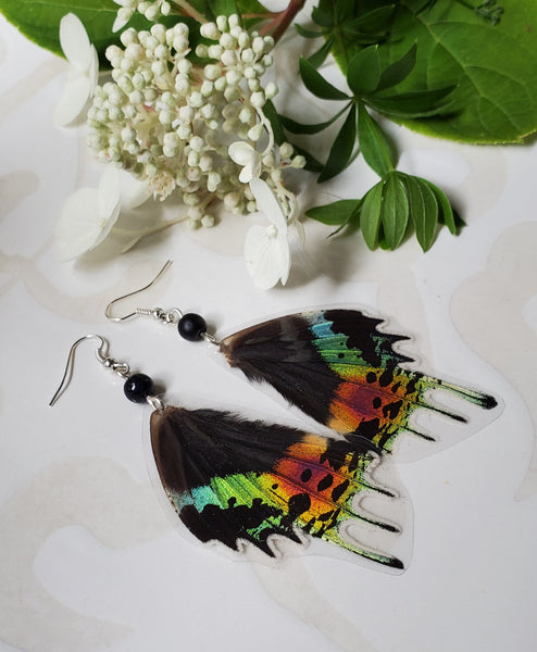 Madagscan Sunset Moth Earrings, Rainbow Moth Earrings