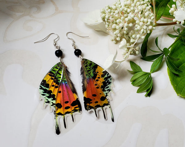 Madagscan Sunset Moth Earrings, Rainbow Moth Earrings