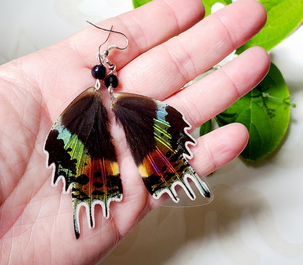 Madagscan Sunset Moth Earrings, Rainbow Moth Earrings