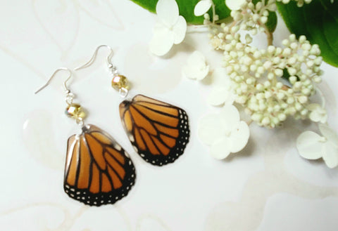 Monarch Butterfly HindWing Earrings with Champagne Crystals