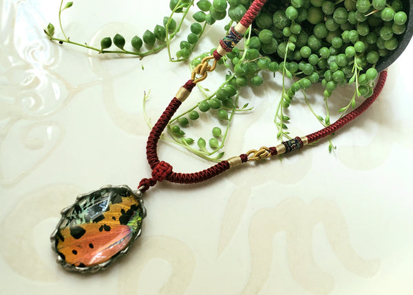 Madagascan Sunset Moth Necklace, Rainbow Moth Necklace