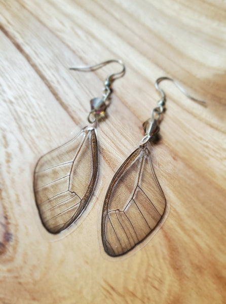 Clear Butterfly Wing Earrings, Cithaerias merolina Glasswing