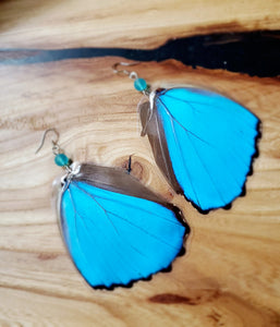 Sky Blue Butterfly Wing Earrings