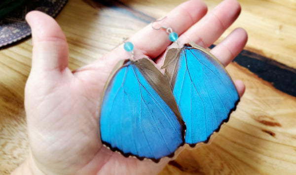 Large Blue Butterfly Wing Earrings