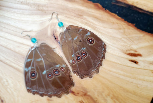 Large Blue Butterfly Wing Earrings