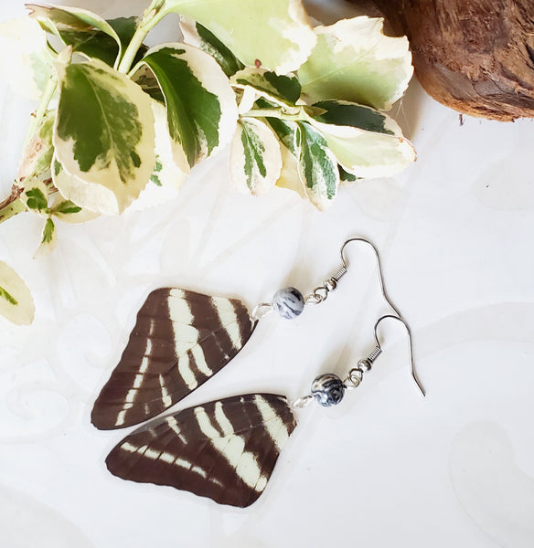 Zebra Swallowtail Butterfly Earrings, Debra's Divine Designs