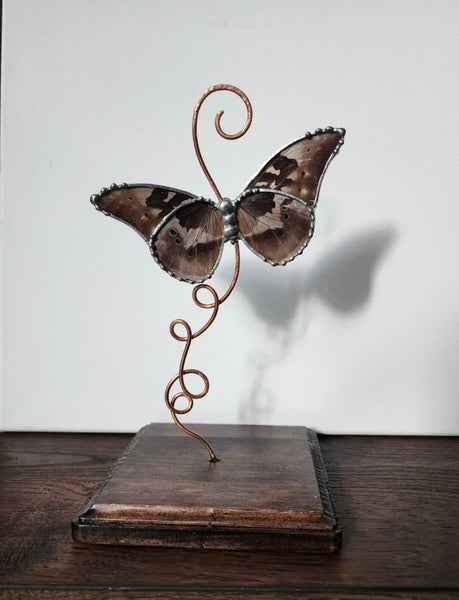 Rhetenor Blue Morpho Butterfly Glass Display Stand