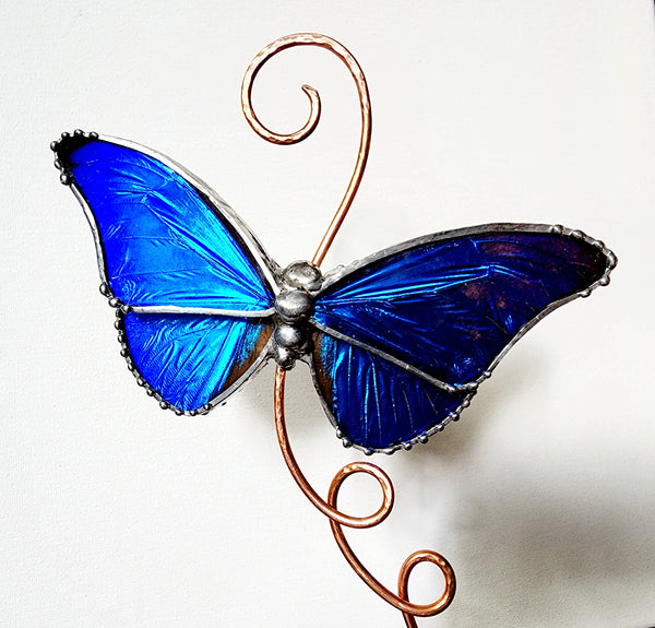 Rhetenor Blue Morpho Butterfly Glass Display Stand