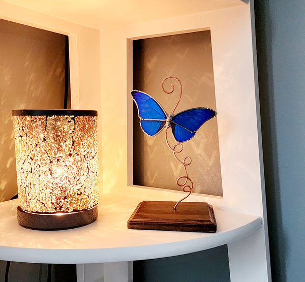Rhetenor Blue Morpho Butterfly Glass Display Stand