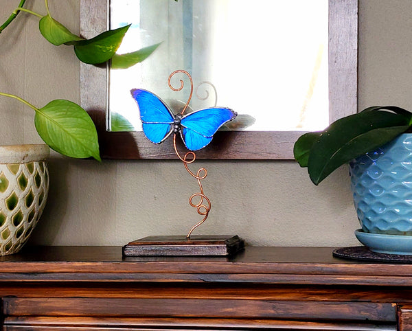 Rhetenor Blue Morpho Butterfly Glass Display Stand