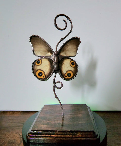 Grey Butterfly with Eyespots On Copper & Wood Stand