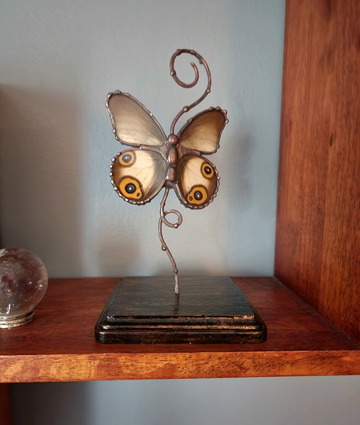 Grey Butterfly with Eyespots On Copper & Wood Stand